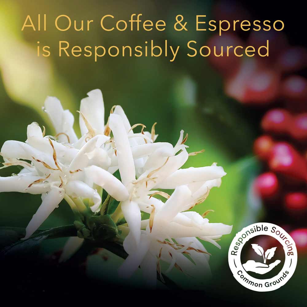 L'OR Flavored Espresso Sampler - Image 2